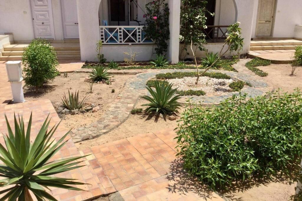 Beyt Alzohour - Casa Dei Fiori Leilighet Dahab Eksteriør bilde